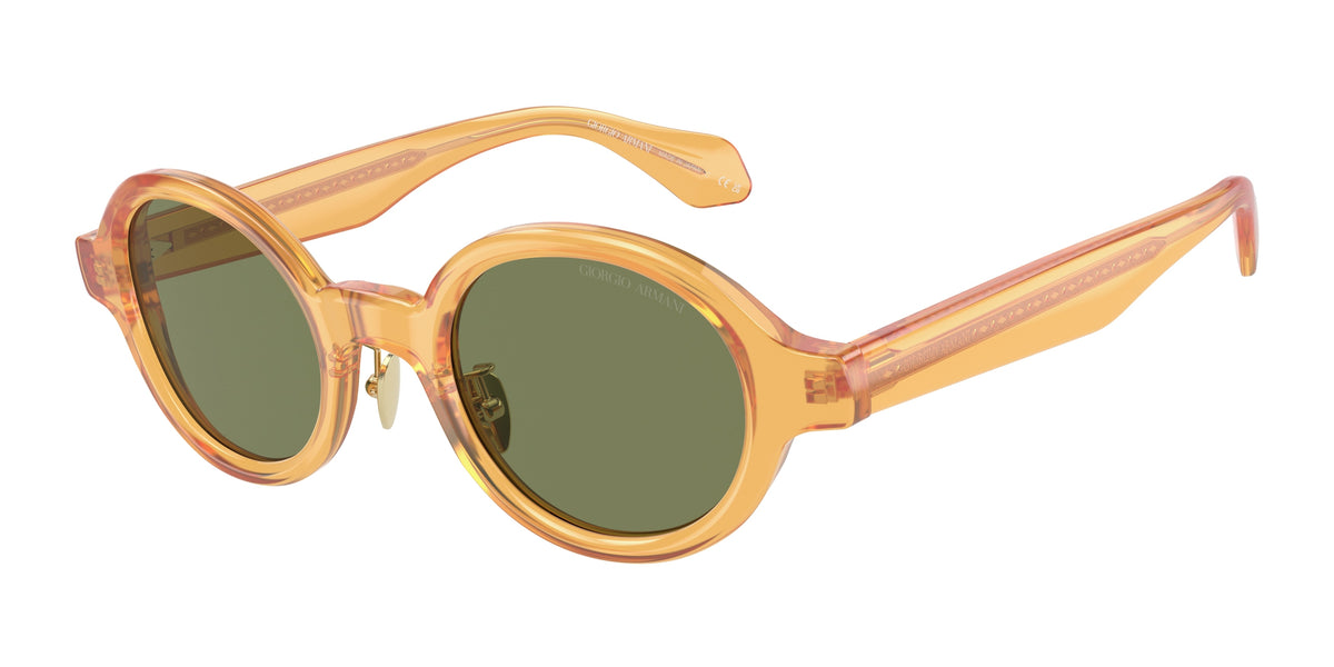 GIORGIO ARMANI 0AR8205 TRANSPARENT HONEY oval sunglasses by GIORGIO