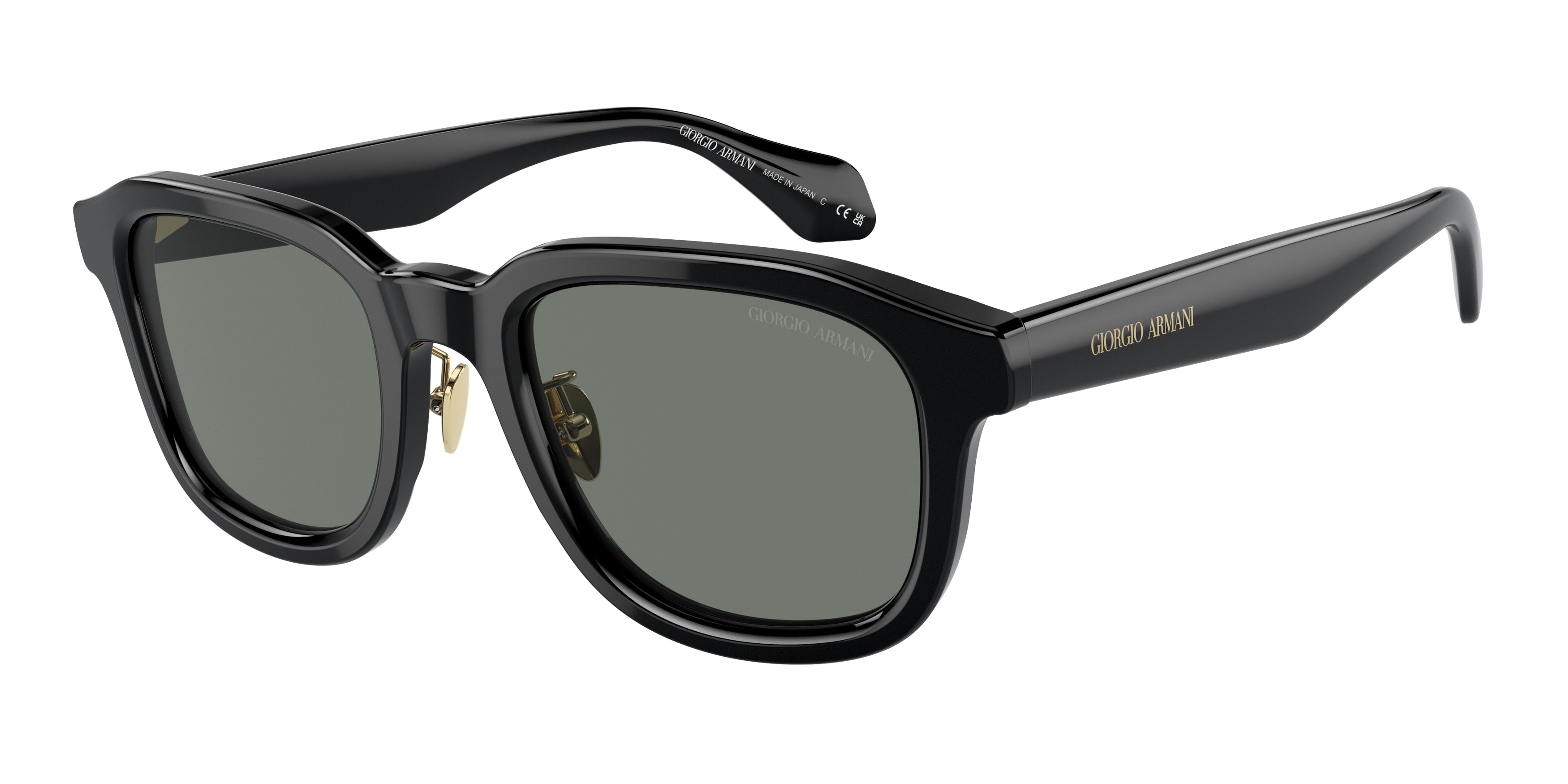 GIORGIO ARMANI 0AR8206 luxury designer eyewear