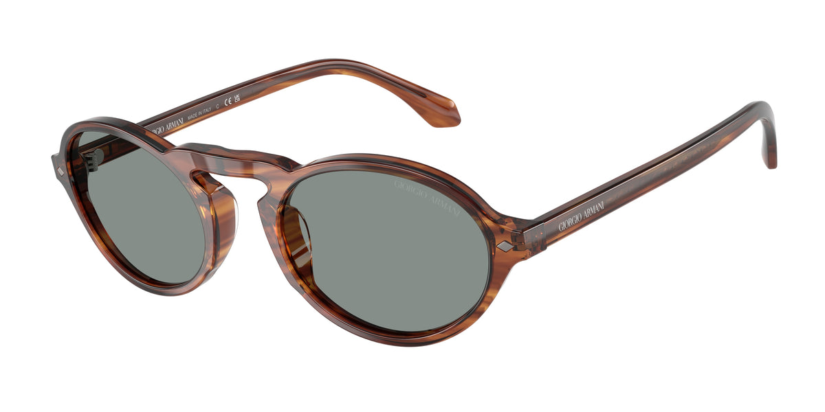 GIORGIO ARMANI 0AR8219U STRIPED BROWN oval sunglasses by GIORGIO