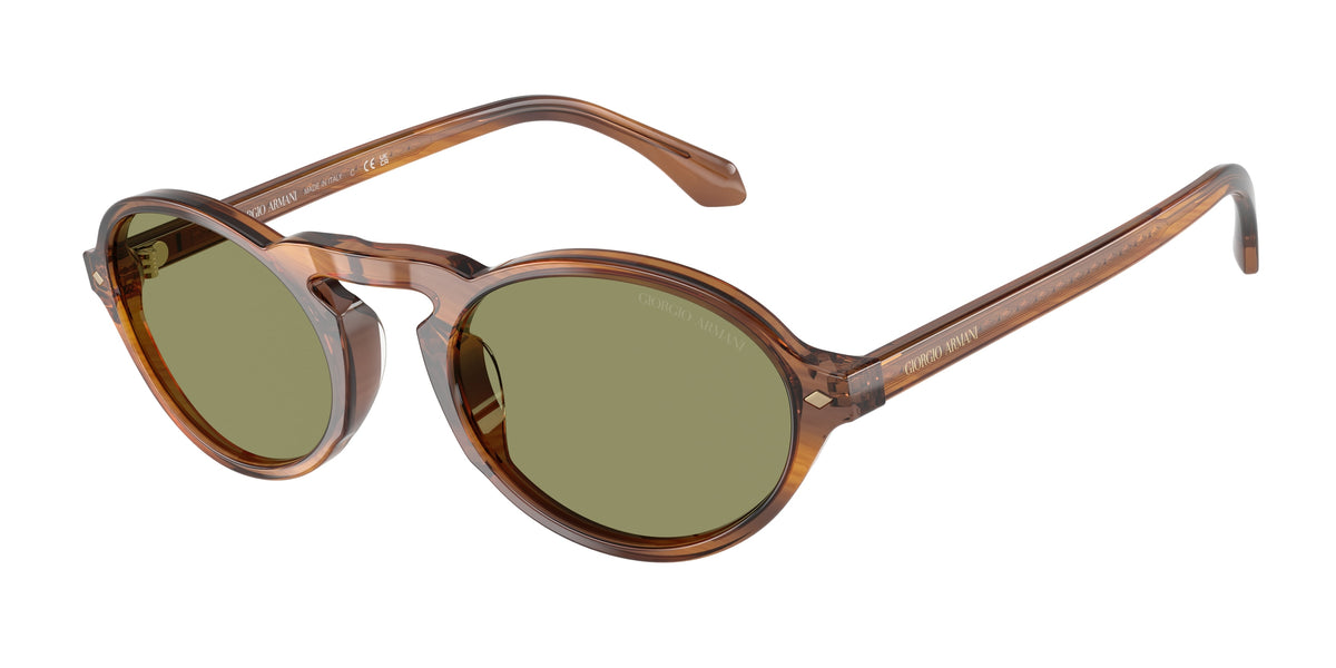 GIORGIO ARMANI 0AR8219U STRIPED HONEY oval sunglasses by GIORGIO