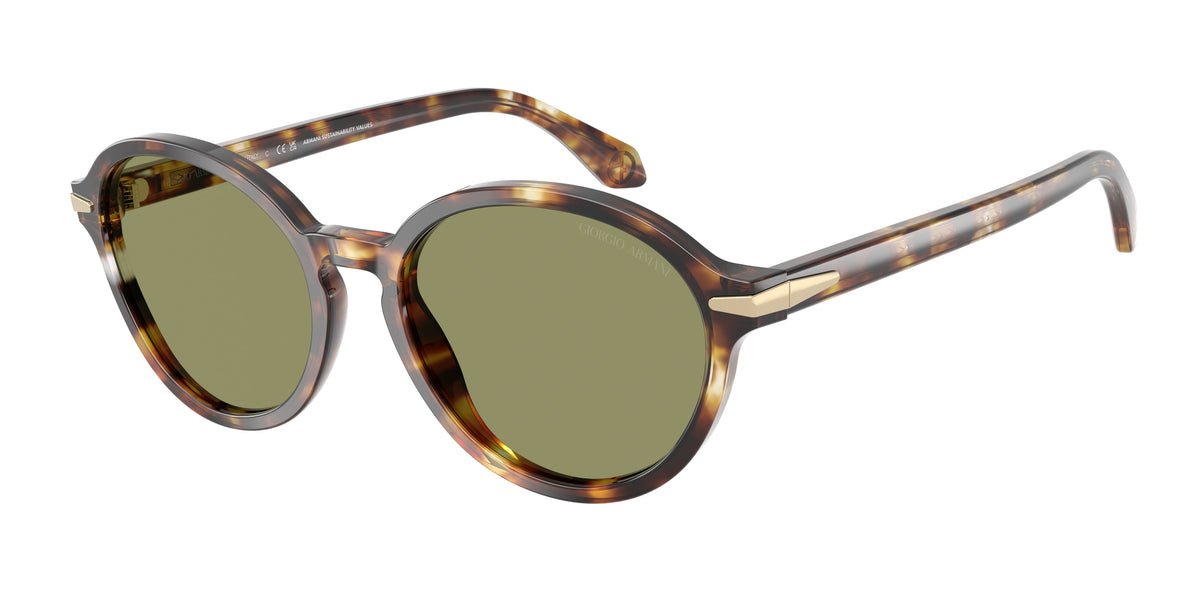 GIORGIO ARMANI 0AR8237 HAVANA GIALLA oval sunglasses by GIORGIO