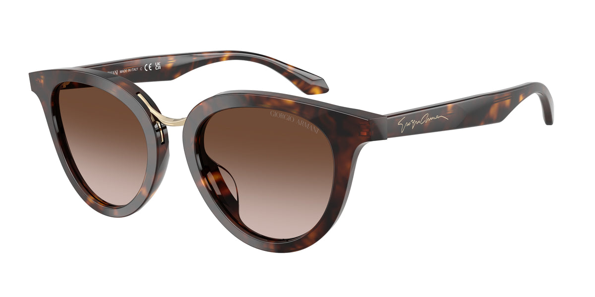 GIORGIO ARMANI 0AR8252U HAVANA round sunglasses by GIORGIO