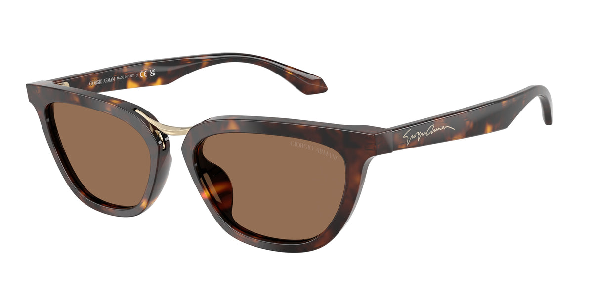 GIORGIO ARMANI 0AR8253U HAVANA butterfly sunglasses by GIORGIO