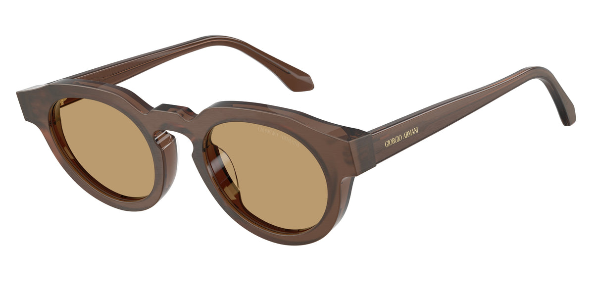 GIORGIO ARMANI 0AR8255U BRUSHED BROWN round sunglasses by GIORGIO