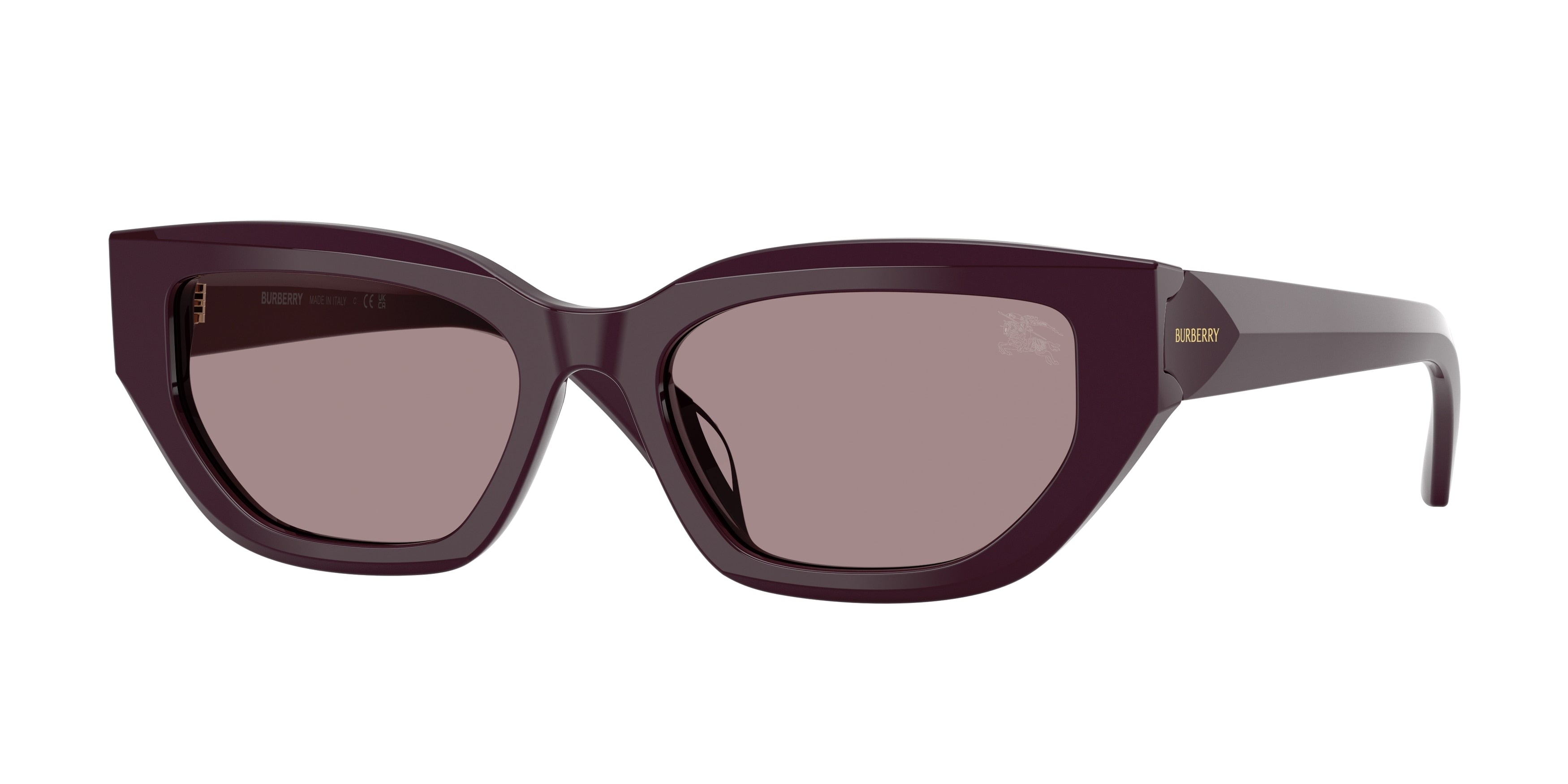 BURBERRY 0BE4463D  luxury designer eyewear
