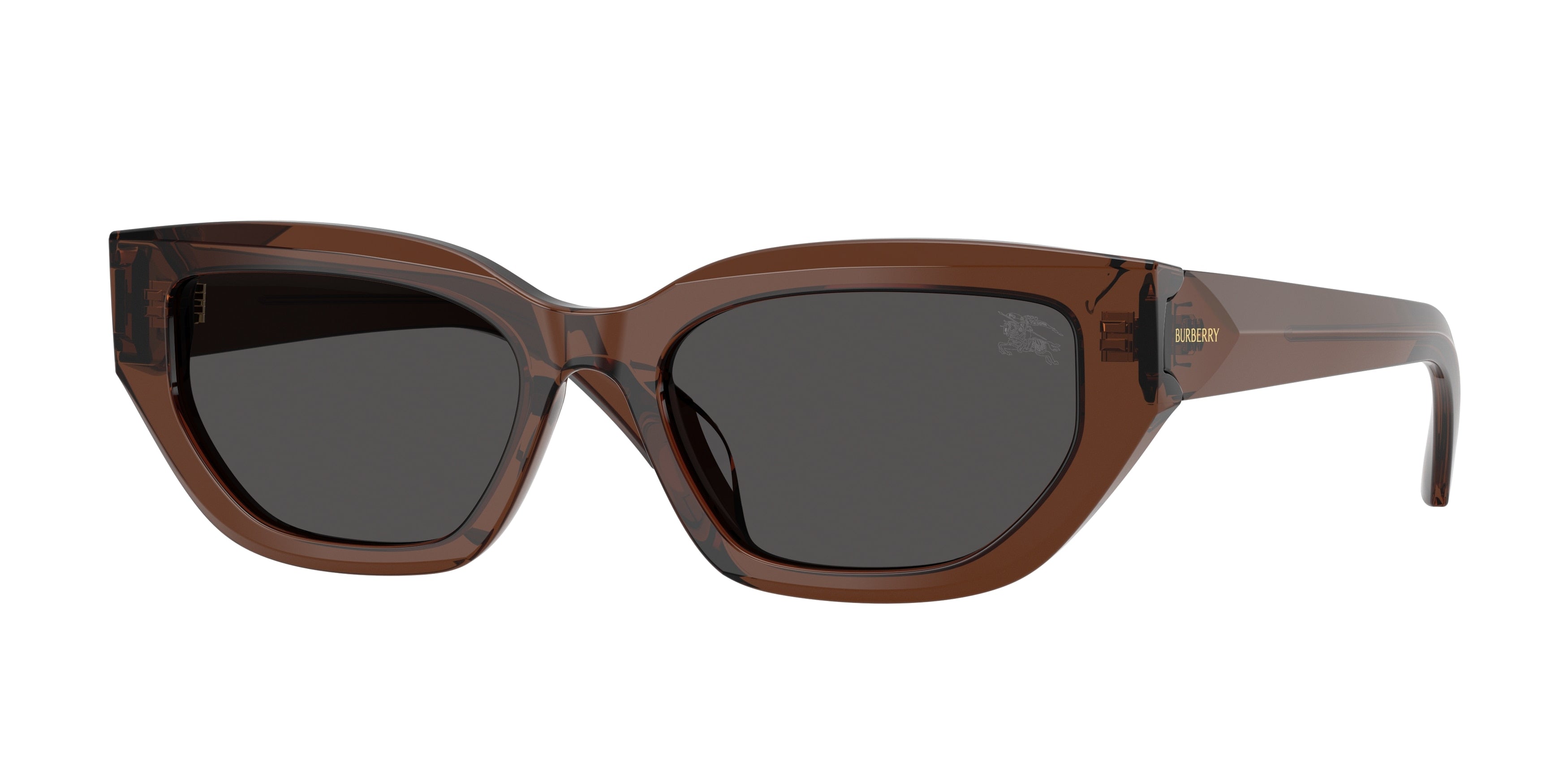 BURBERRY 0BE4463D  luxury designer eyewear