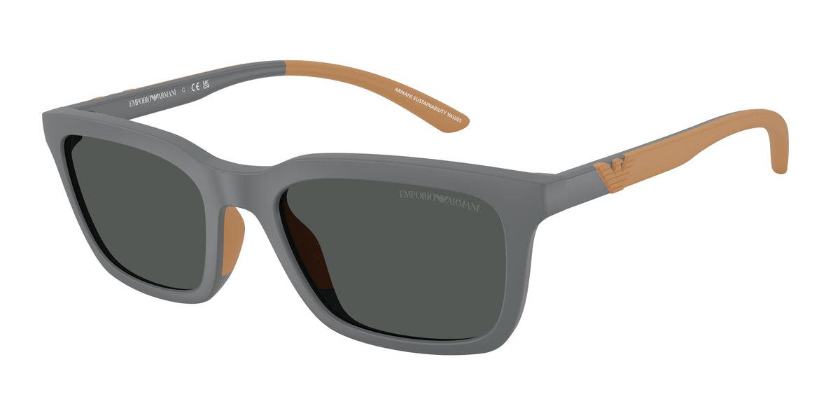 EMPORIO ARMANI 0EA4249U luxury designer eyewear