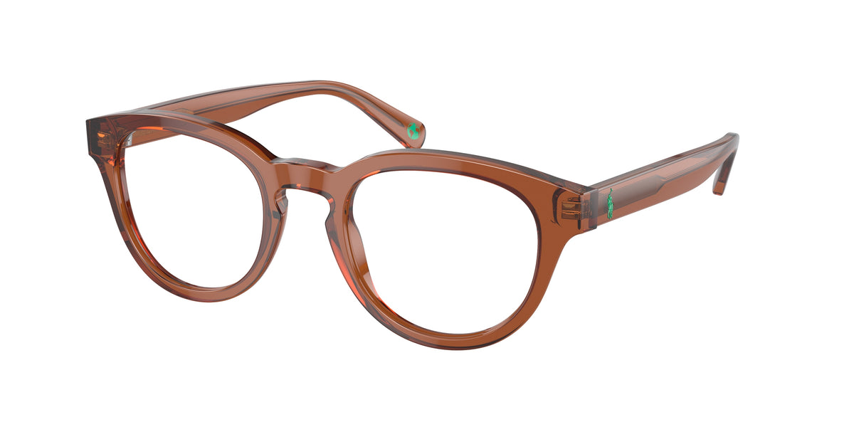 POLO 0PH2262 SHINY TRANSPARENT BROWN phantos glasses by POLO