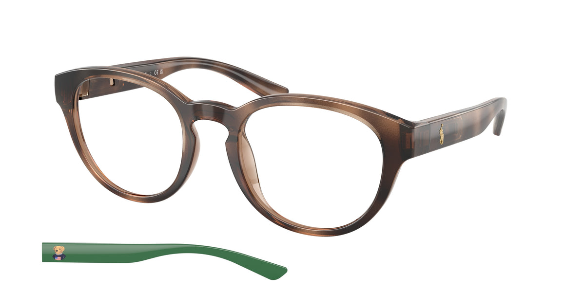 POLO 0PH2293U SHINY DARK HAVANA phantos glasses by POLO