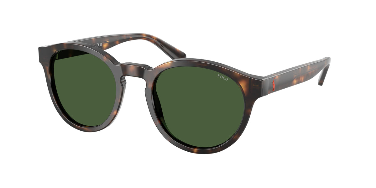 POLO 0PH4192 SHINY DARK HAVANA round sunglasses by POLO