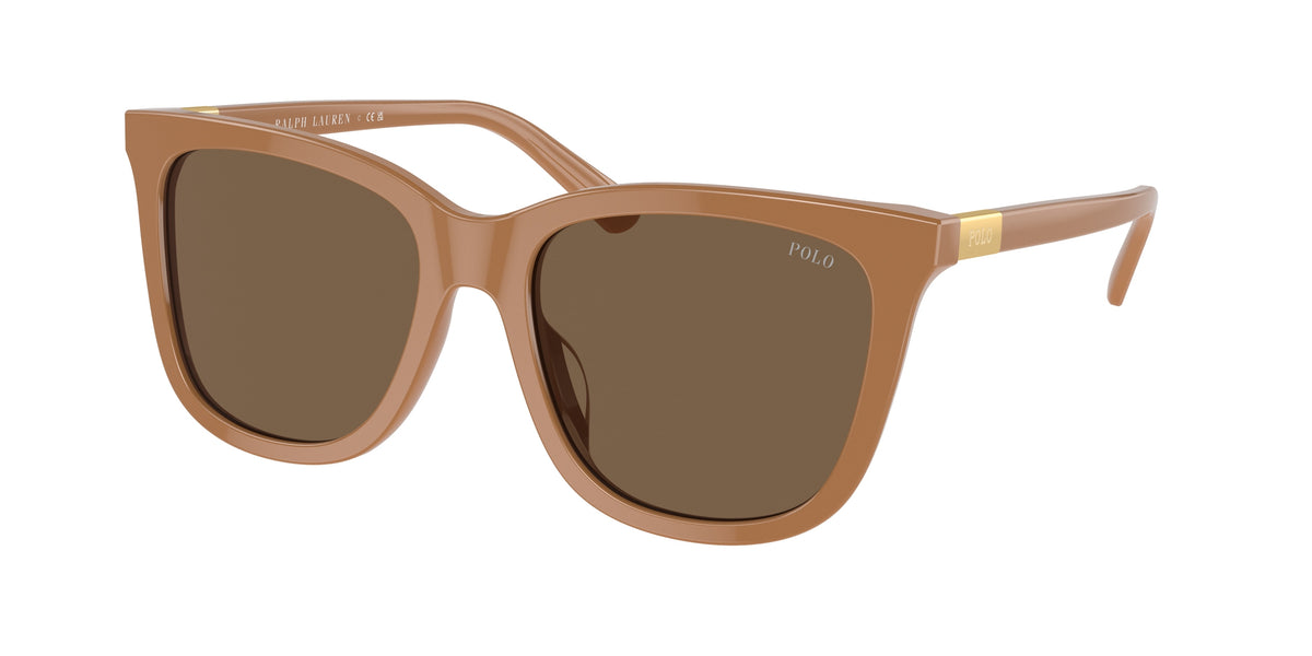 POLO 0PH4201U SHINY BROWN square sunglasses by POLO