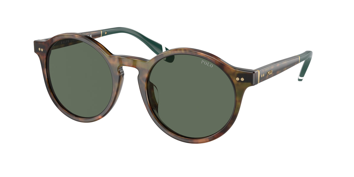 POLO 0PH4204U SHINY BROWN TORTOISE phantos sunglasses by POLO