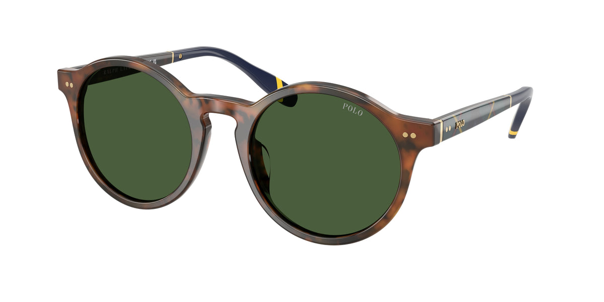 POLO 0PH4204U SHINY BROWN TORTOISE phantos sunglasses by POLO