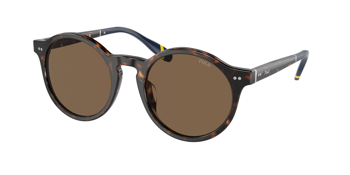 POLO 0PH4204U  luxury designer eyewear