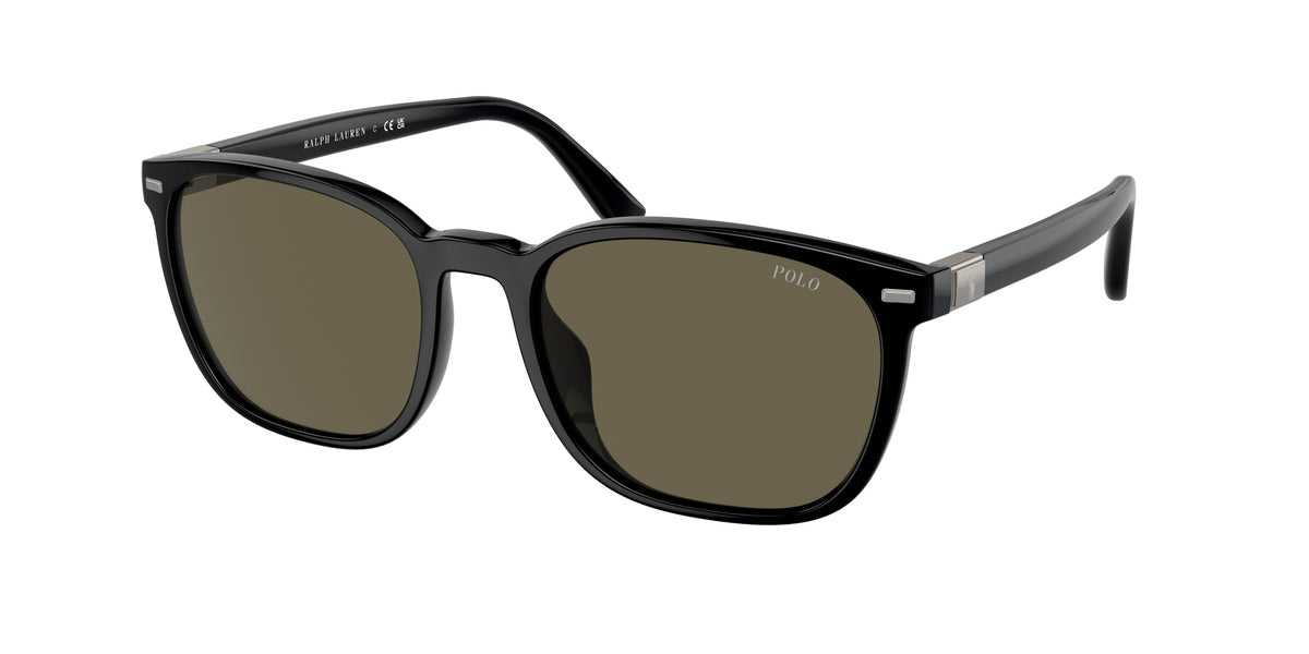 POLO 0PH4208U  luxury designer eyewear