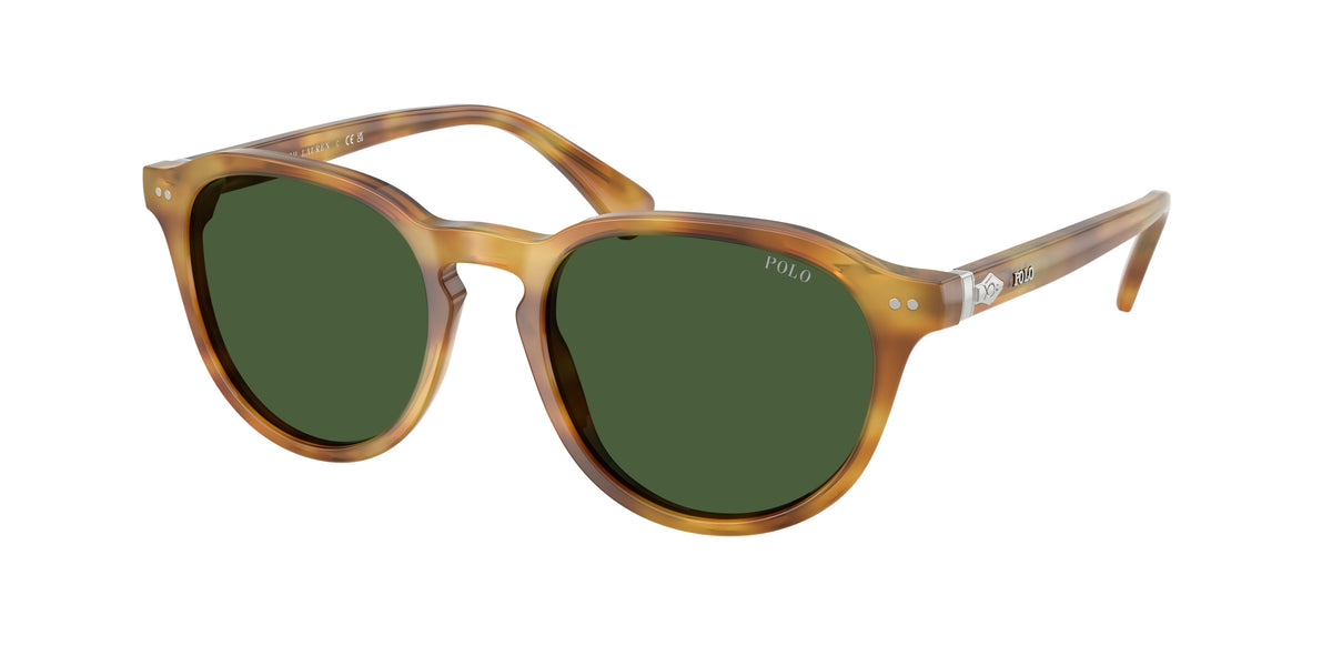 POLO 0PH4221 SHINY TORTOISE LIGHT BROWN phantos sunglasses by POLO