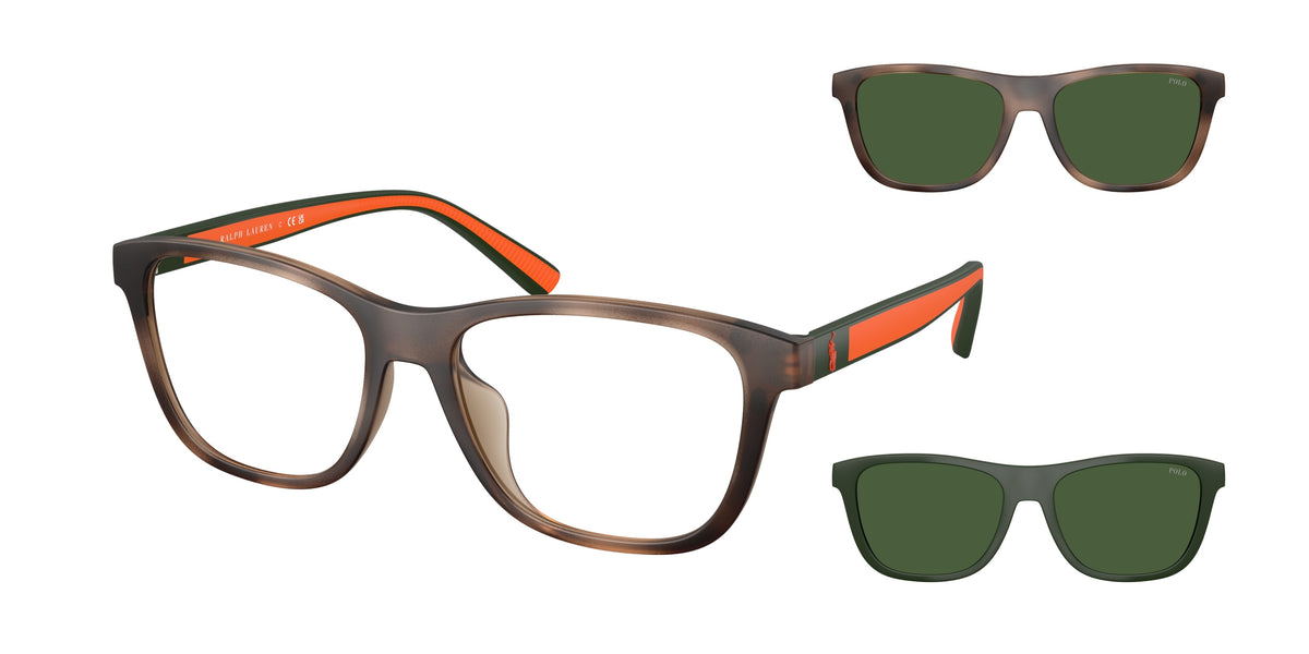POLO 0PH4228U MATTE DARK HAVANA square sunglasses by POLO