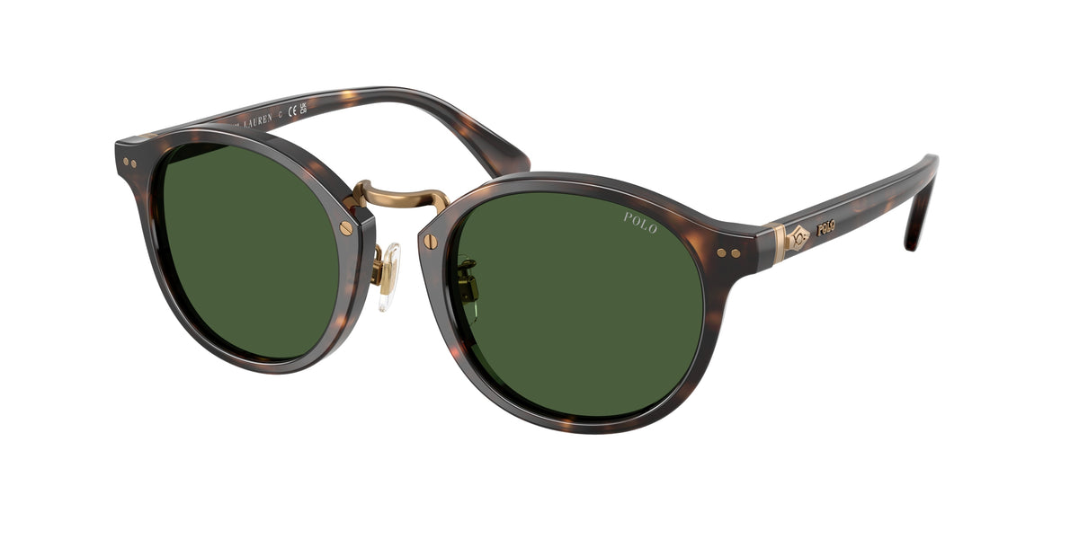 POLO 0PH4230 SHINY DARK HAVANA round sunglasses by POLO