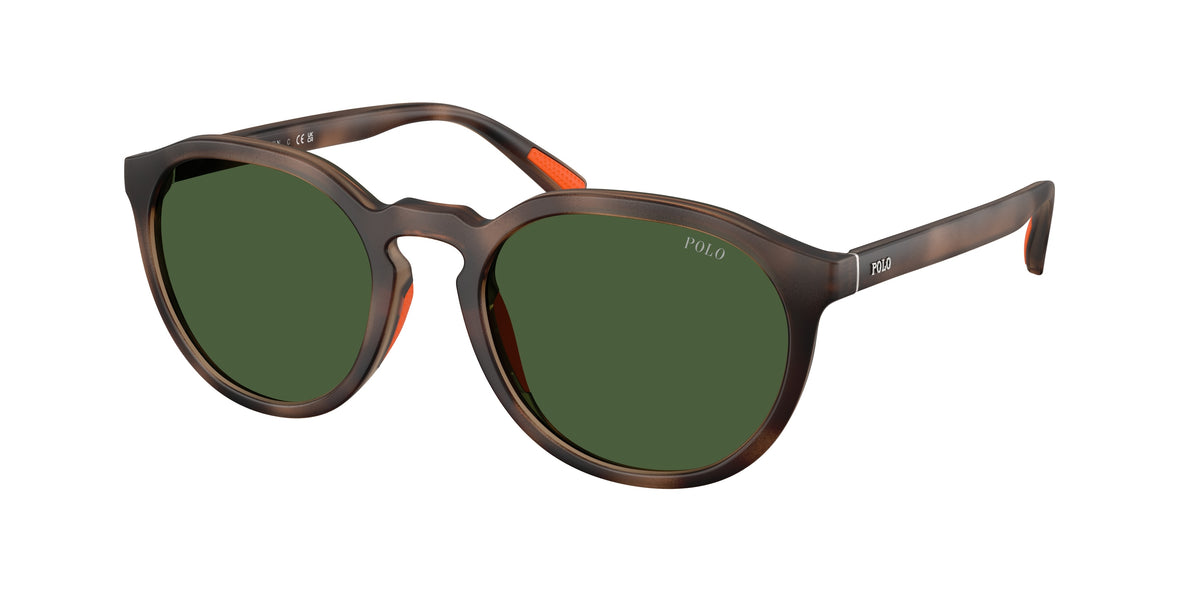 POLO 0PH4232U MATTE DARK HAVANA round sunglasses by POLO
