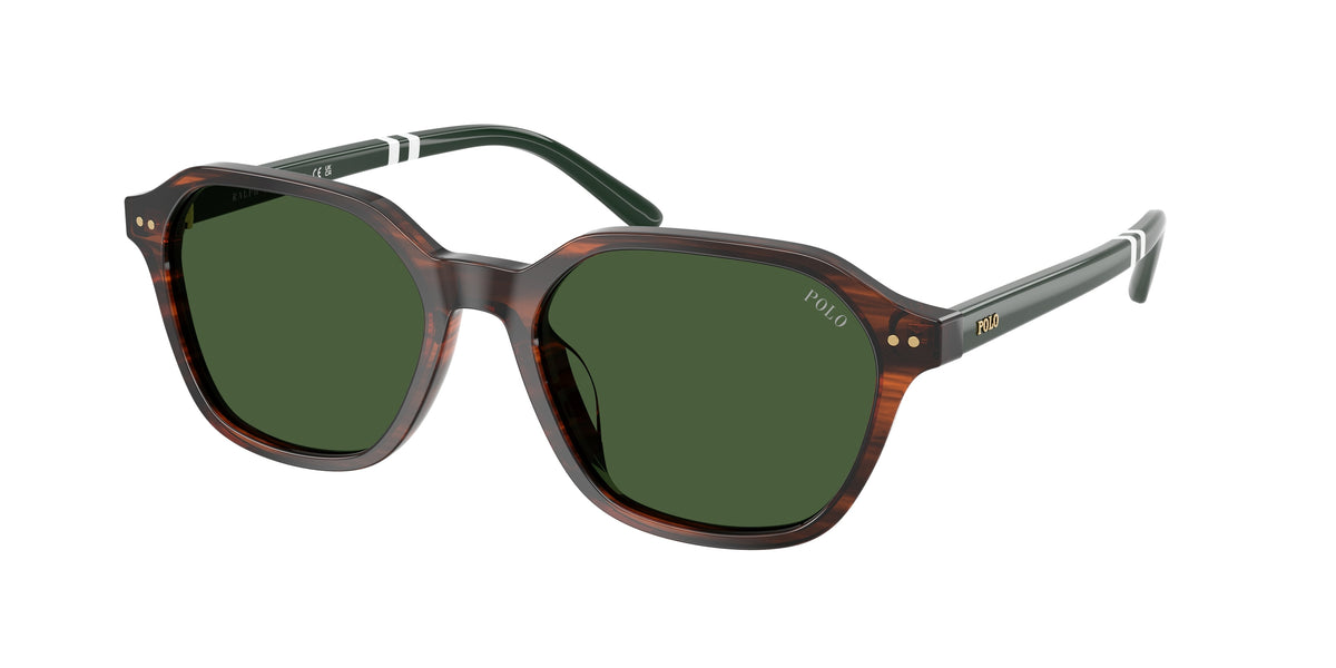 POLO 0PH4234U SHINY STRIPED BROWN irregular sunglasses by POLO