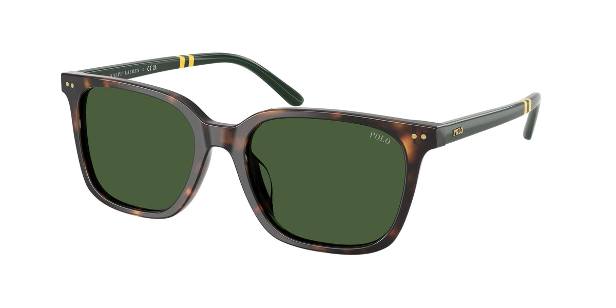 POLO 0PH4235U SHINY DARK HAVANA square sunglasses by POLO