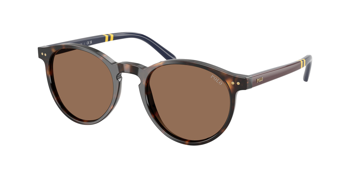 POLO 0PH4236 SHINY DARK HAVANA round sunglasses by POLO