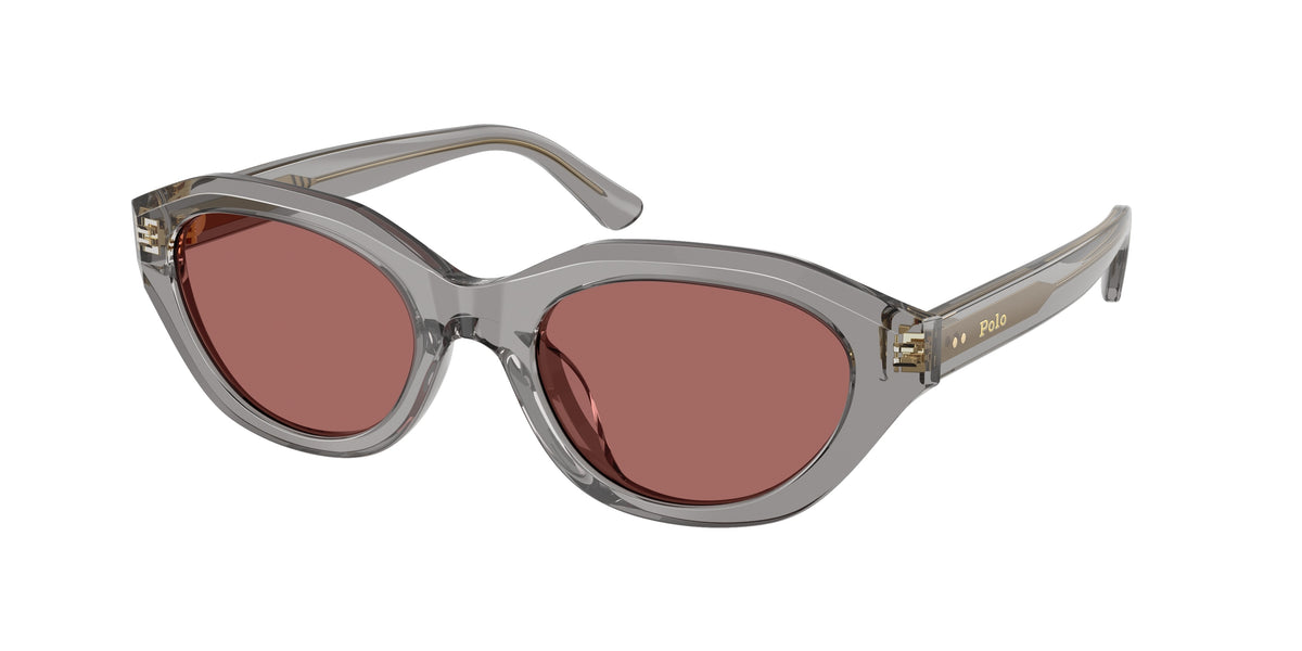 POLO 0PH4237U SHINY TRANSPARENT GREY cat eye sunglasses by POLO
