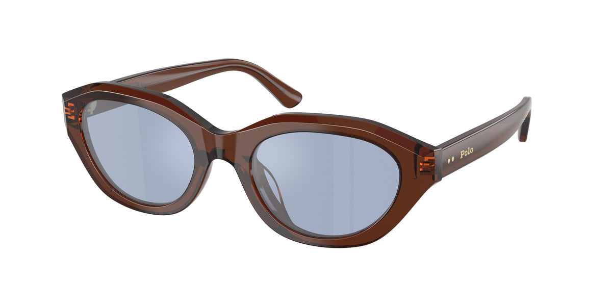 POLO 0PH4237U SHINY TRANSPARENT BROWN cat eye sunglasses by POLO