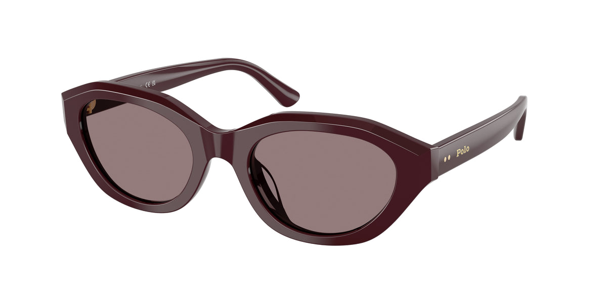 POLO 0PH4237U DARK VIOLET cat eye sunglasses by POLO