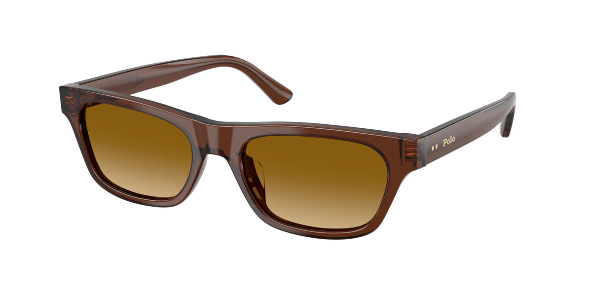 POLO 0PH4238U SHINY TRANSPARENT BROWN rectangle sunglasses by POLO