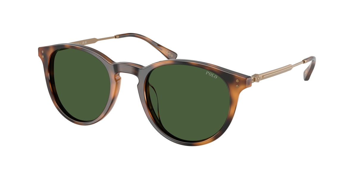 POLO 0PH4239U SHINY RED HAVANA phantos sunglasses by POLO