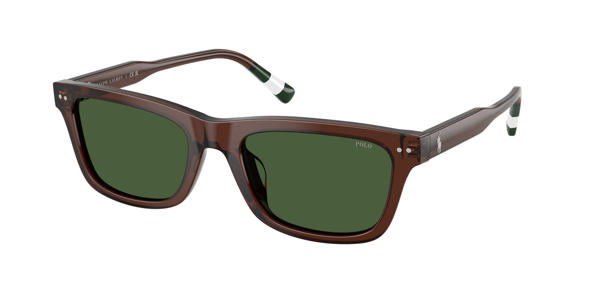 POLO 0PH4240U SHINY TRANSPARENT BROWN pillow sunglasses by POLO