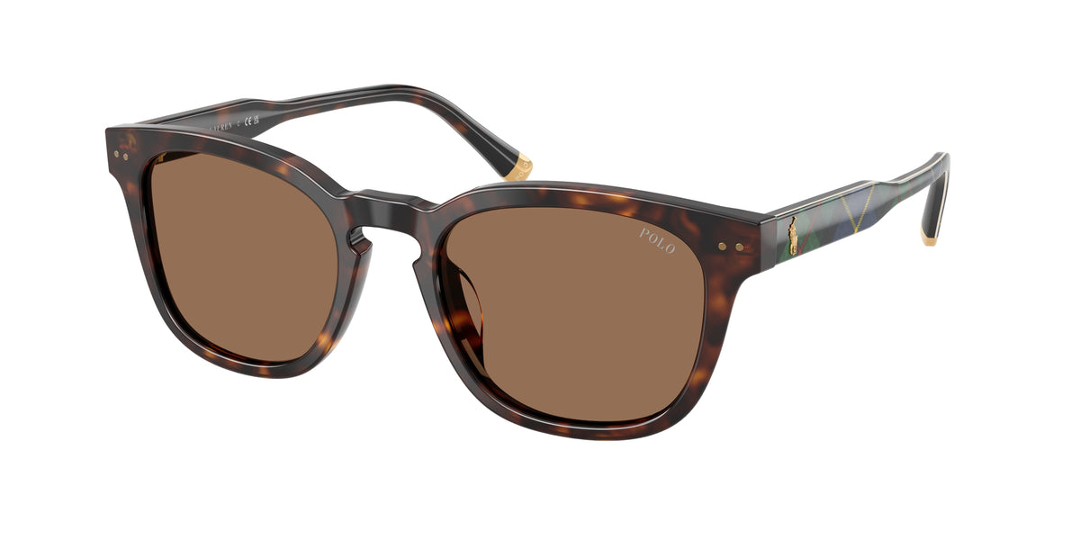 POLO 0PH4242U SHINY HAVANA square sunglasses by POLO