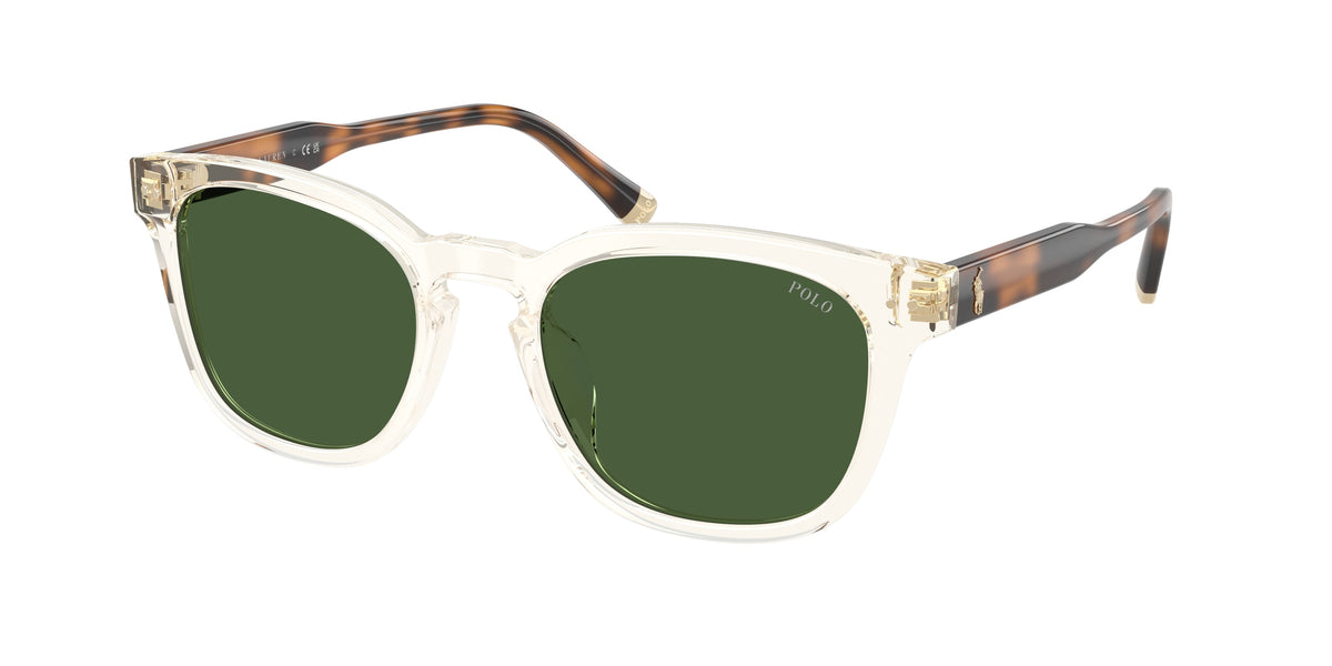 POLO 0PH4242U SHINY TRANSPARENT YELLOW square sunglasses by POLO