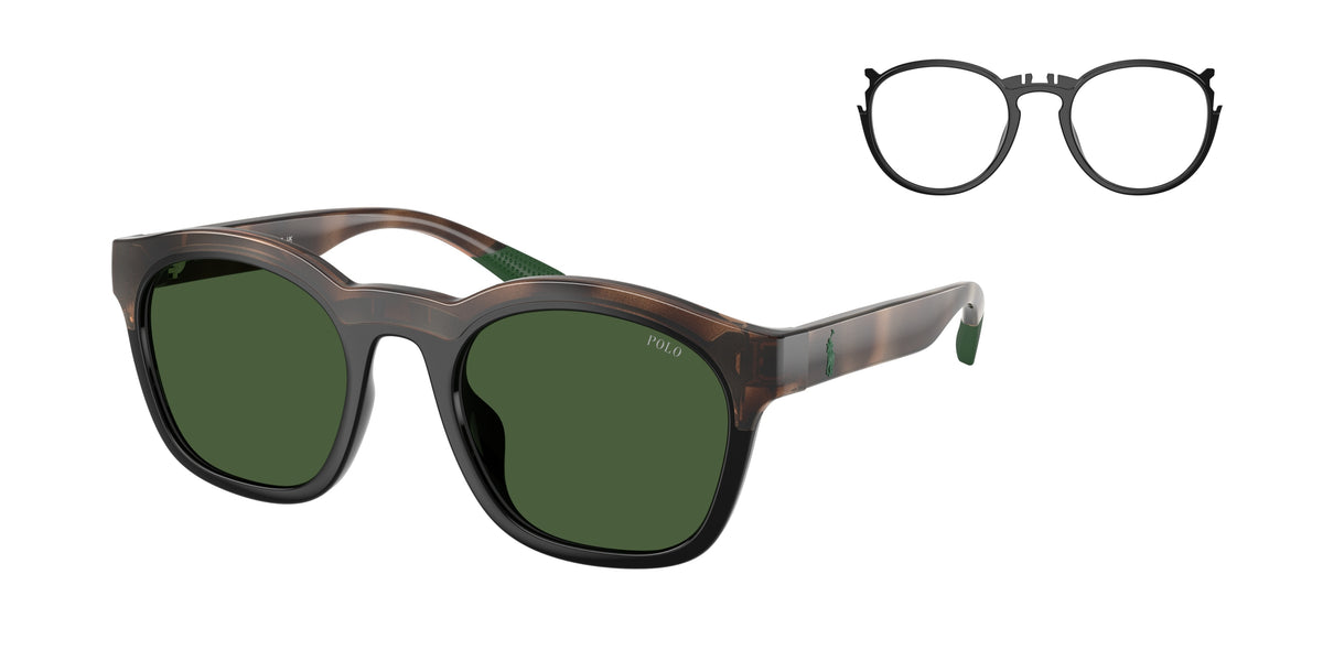 POLO 0PH4243U HAVANA/BLACK square sunglasses by POLO