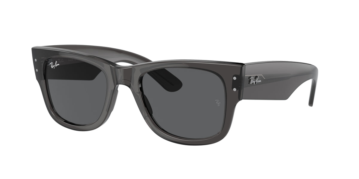 RAY-BAN 0RB0840S  luxury designer eyewear
