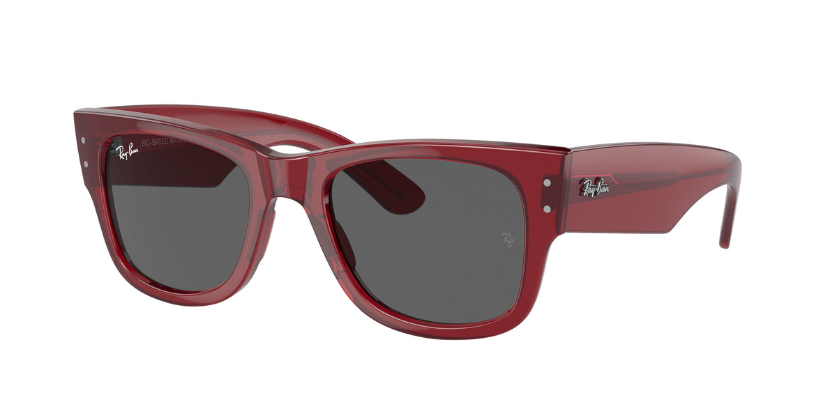 RAY-BAN 0RB0840S  luxury designer eyewear