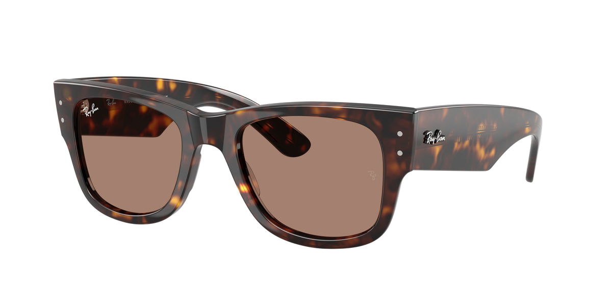 RAY-BAN 0RB0840S  luxury designer eyewear