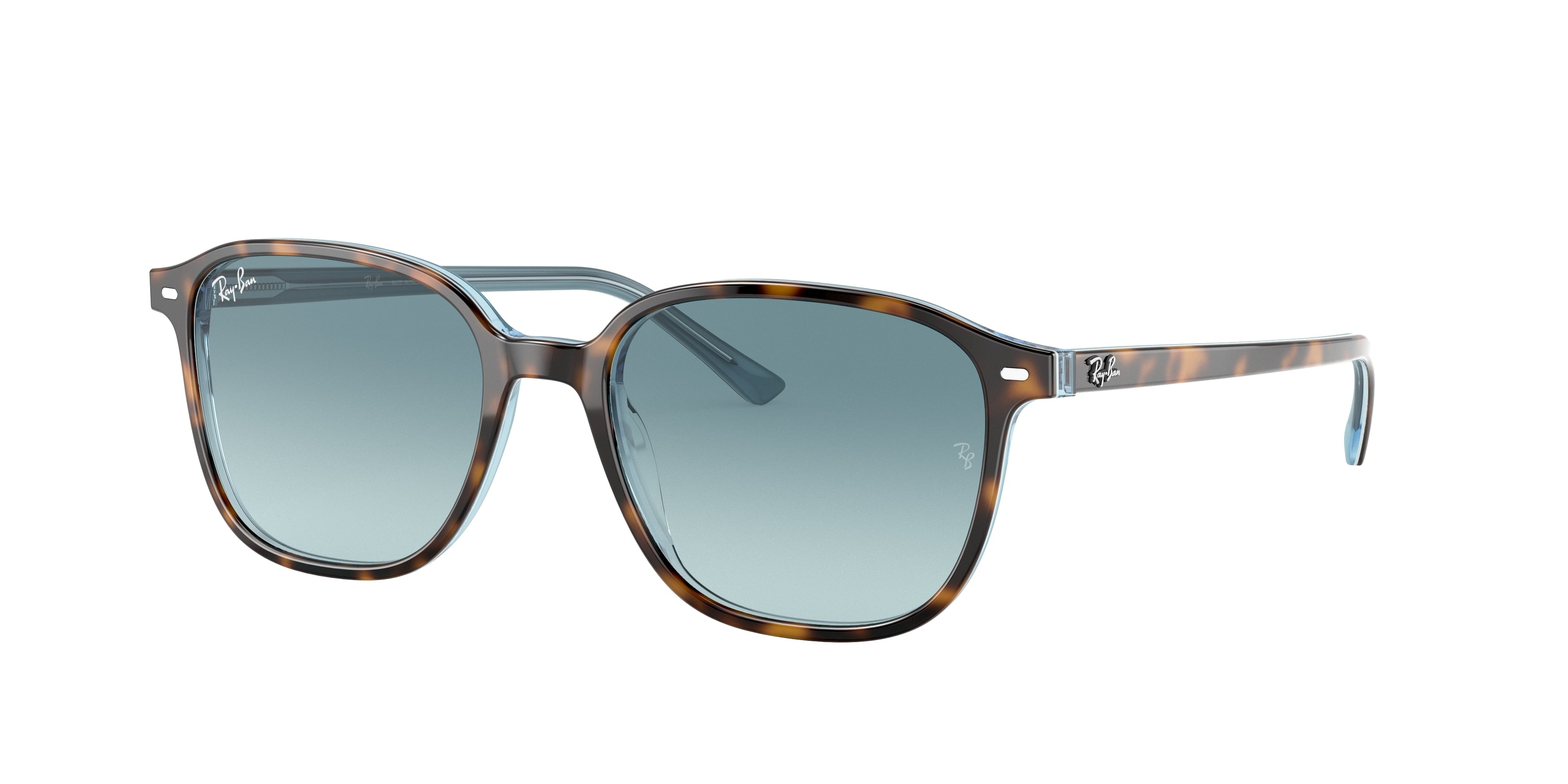 RAY-BAN 0RB2193  luxury designer eyewear