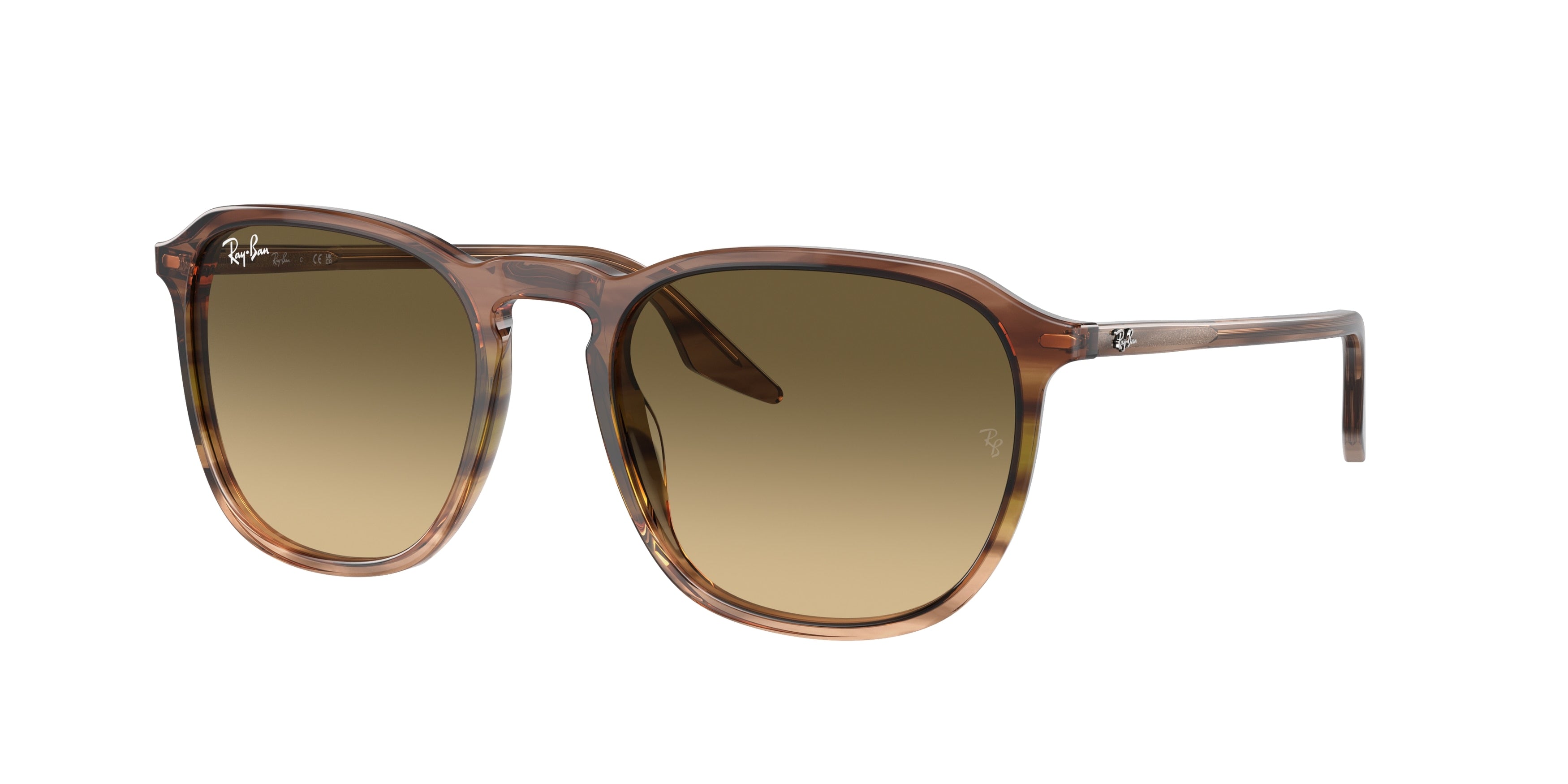 RAY-BAN 0RB2203  luxury designer eyewear