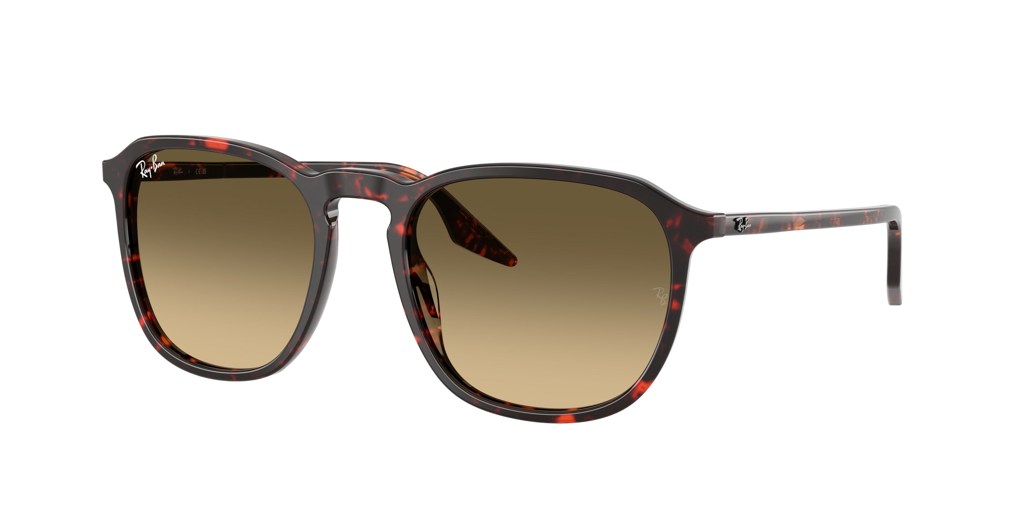 RAY-BAN 0RB2203  luxury designer eyewear