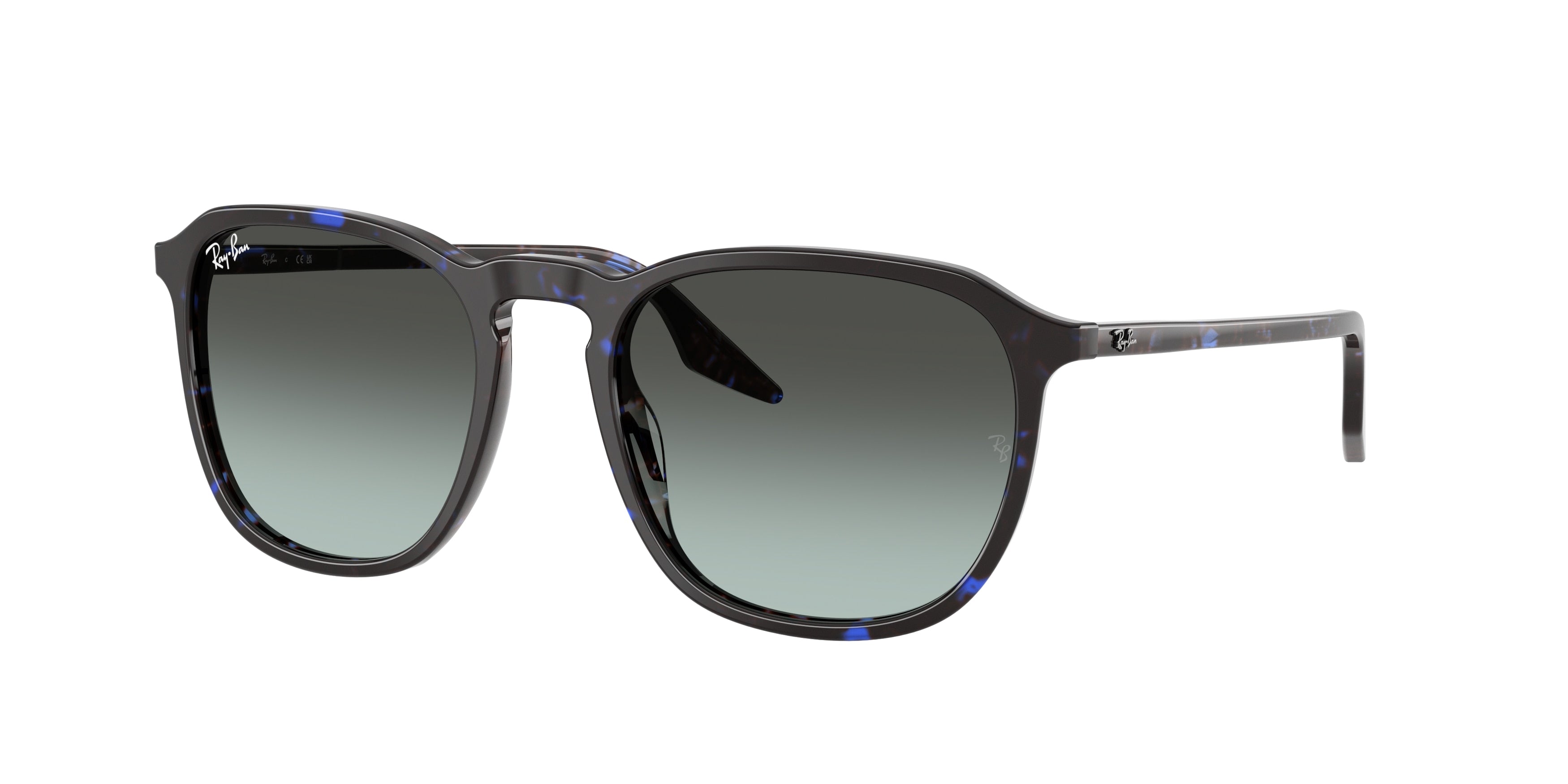RAY-BAN 0RB2203  luxury designer eyewear