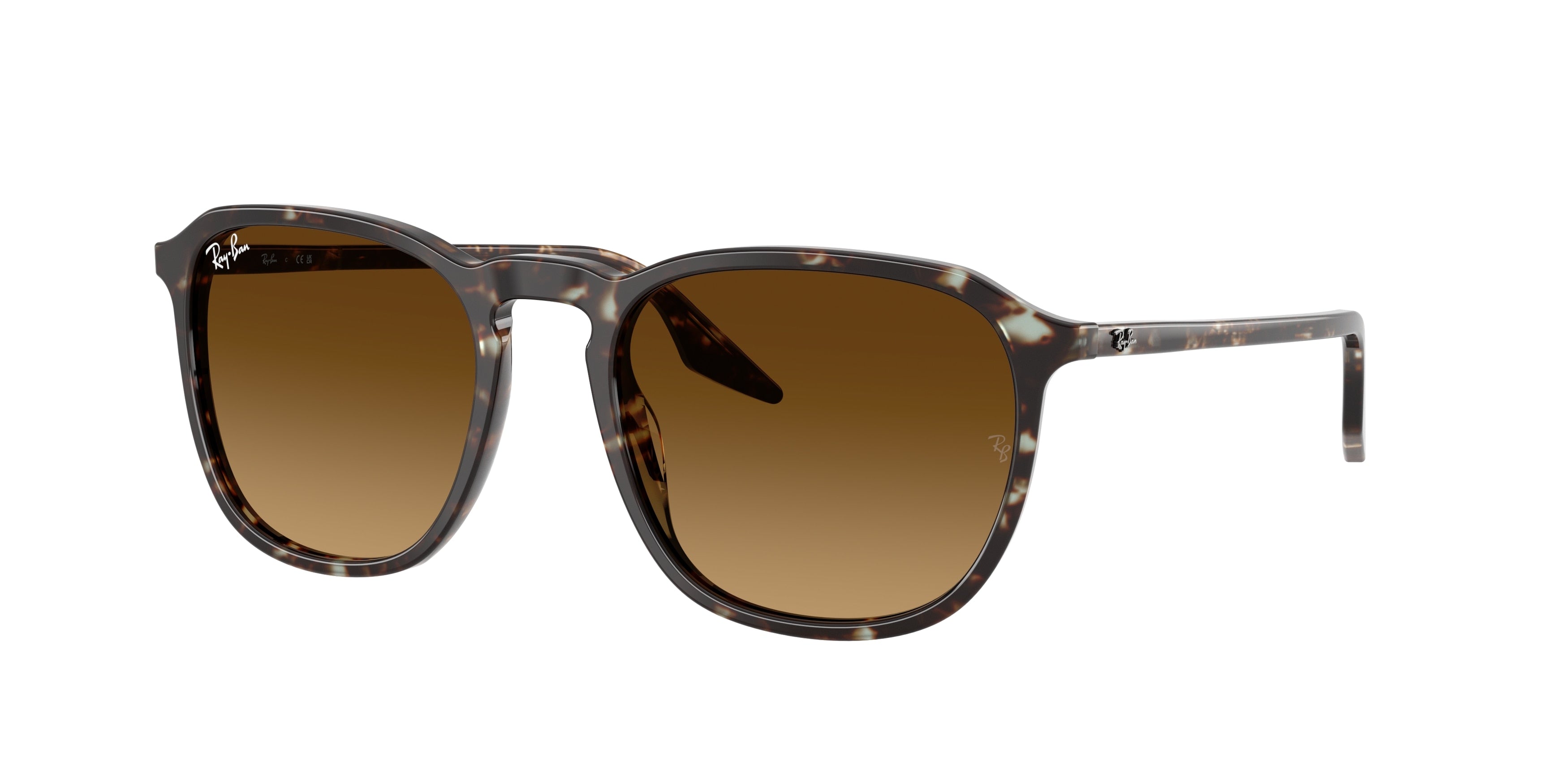 RAY-BAN 0RB2203  luxury designer eyewear