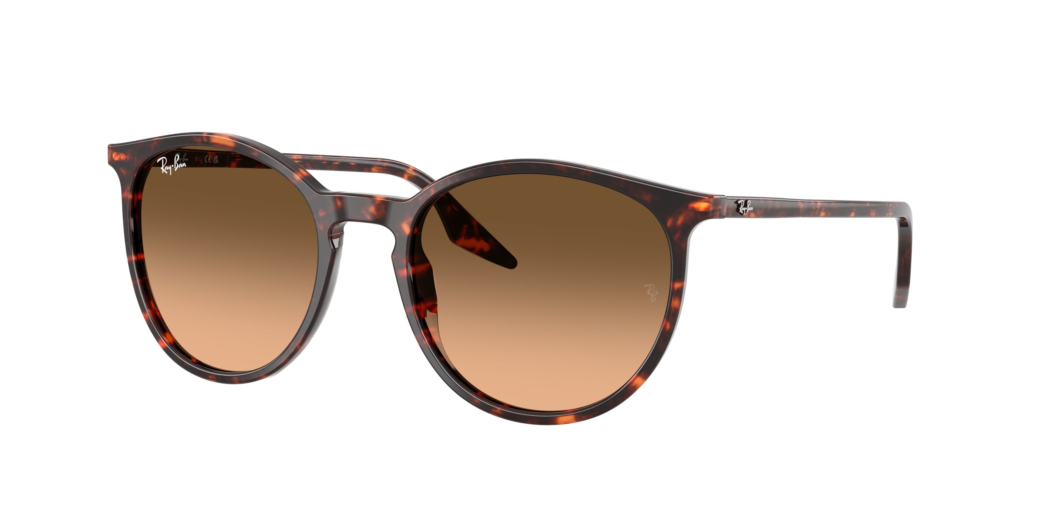 RAY-BAN 0RB2204  luxury designer eyewear