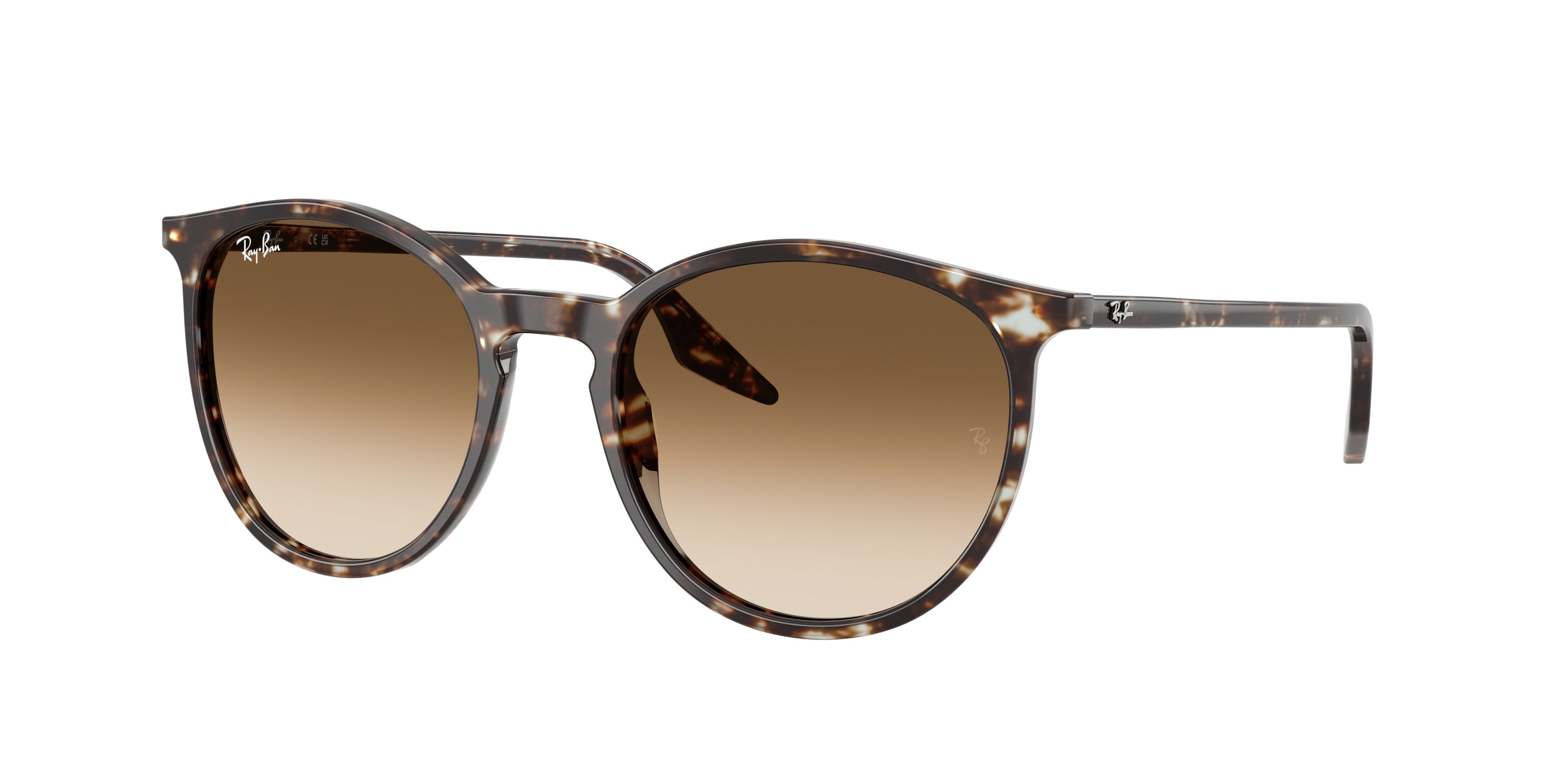 RAY-BAN 0RB2204  luxury designer eyewear