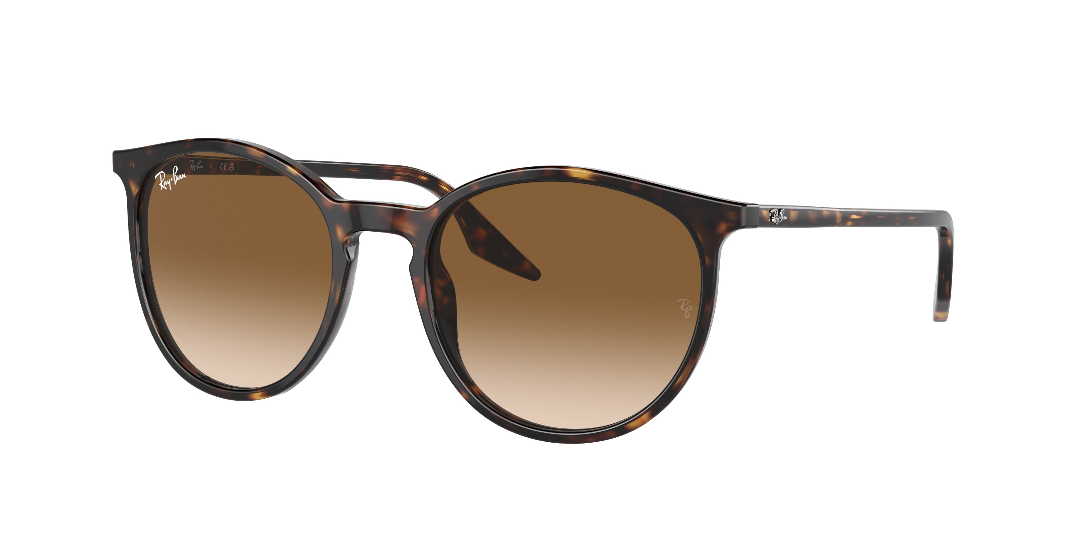 RAY-BAN 0RB2204  luxury designer eyewear