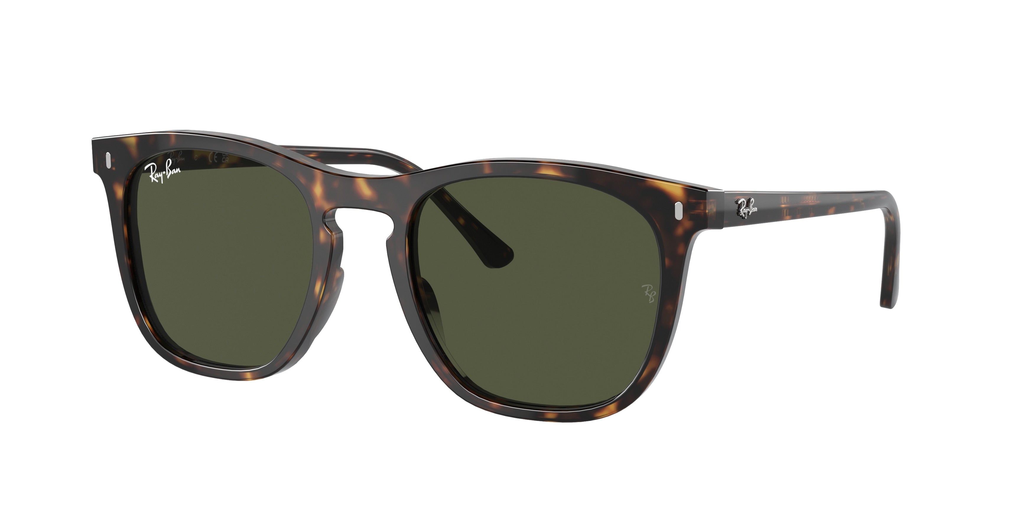 RAY-BAN 0RB2210  luxury designer eyewear