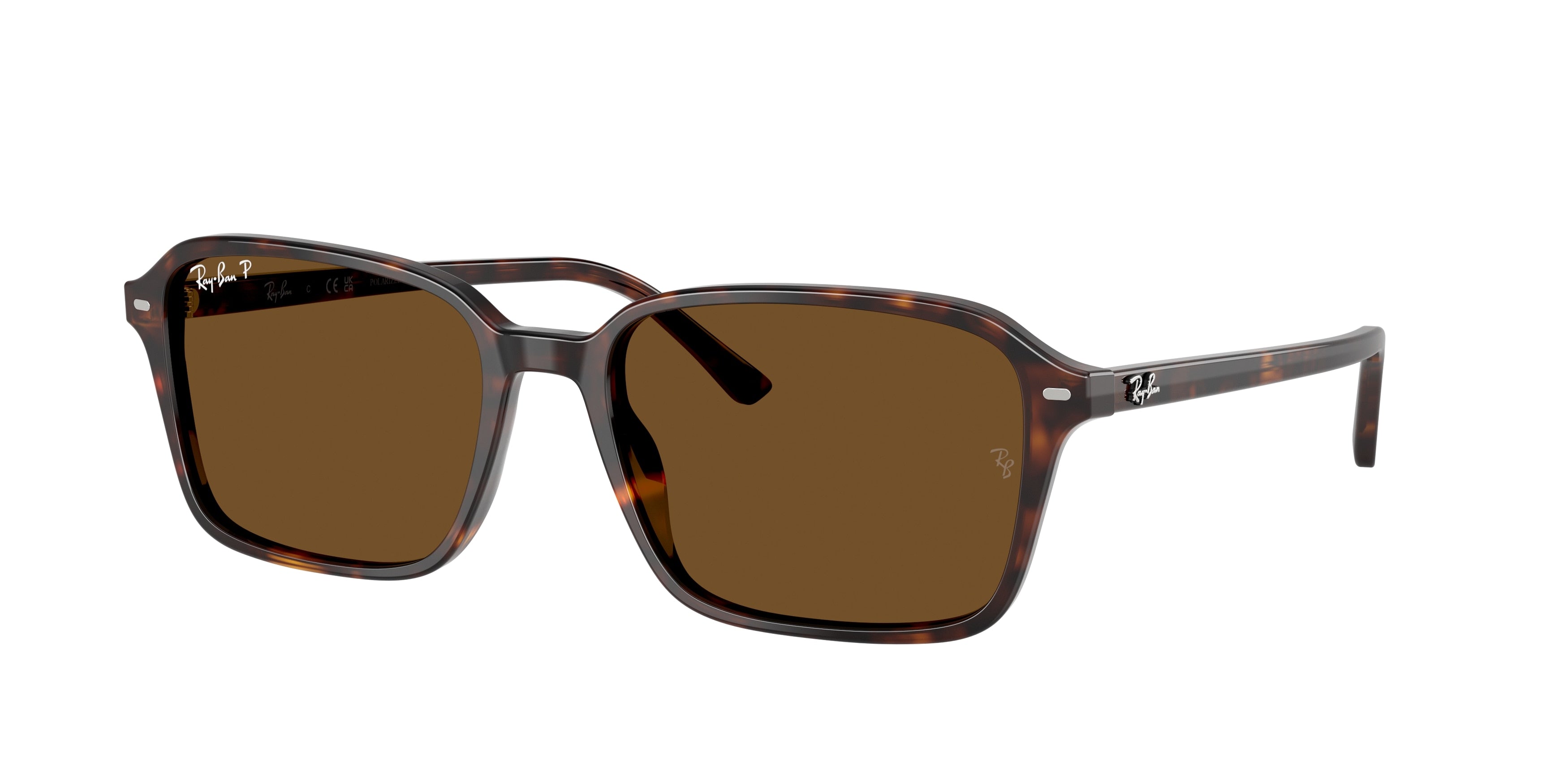 RAY-BAN 0RB2231  luxury designer eyewear