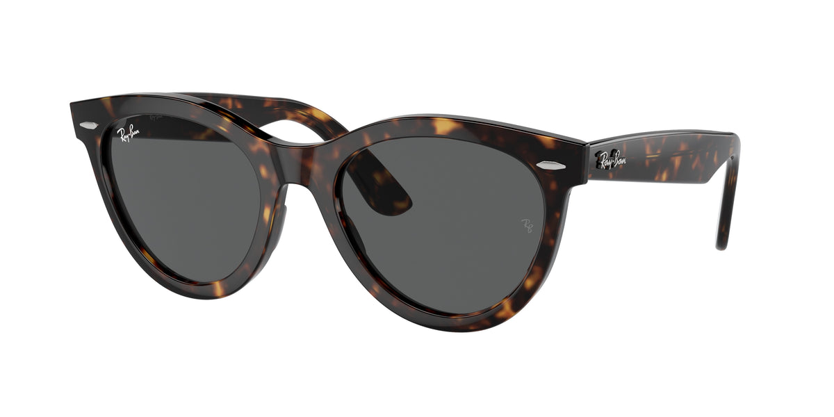RAY-BAN 0RB2241 HAVANA round sunglasses by RAY-BAN