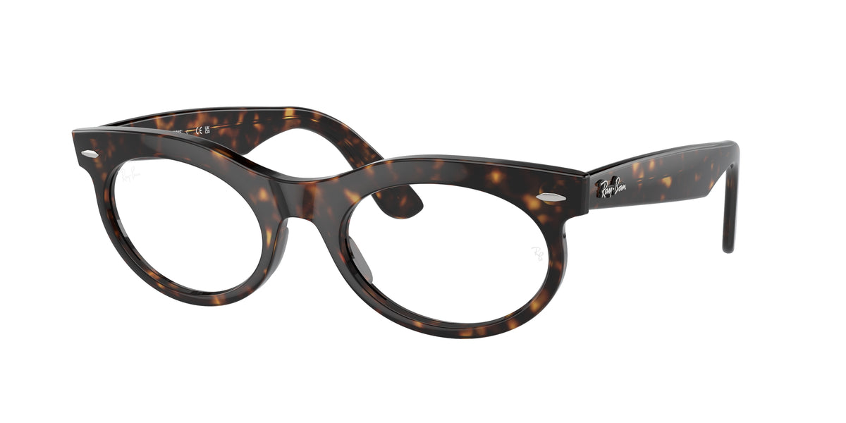 RAY-BAN 0RB2242 HAVANA oval sunglasses by RAY-BAN